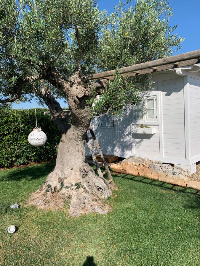 B&B Villa Grassi Alberobello Exterior foto